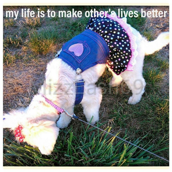 Meet your posher ๐คโคโบ๐ฏ๐๐๐ - Picture 6 of 16